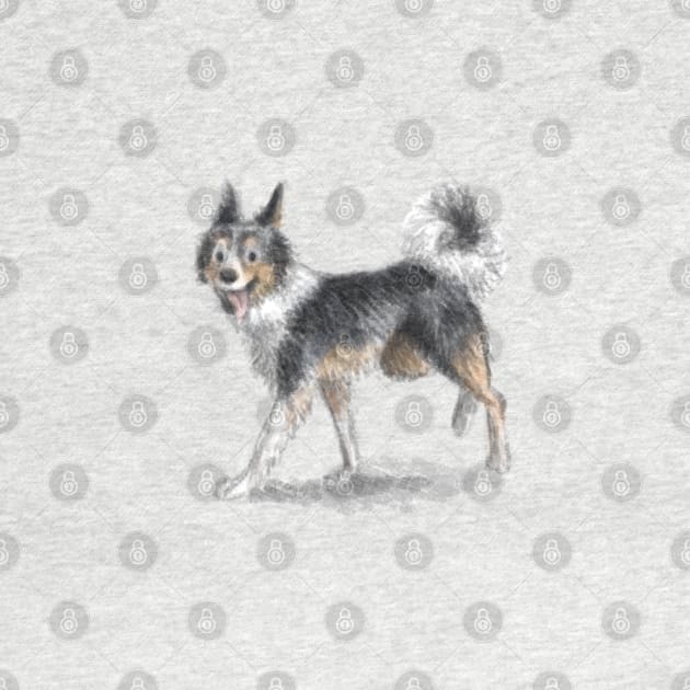 Border Collie Dog by Elspeth Rose Design